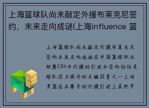 上海篮球队尚未敲定外援布莱克尼签约，未来走向成谜(上海influence 篮球队)